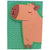 Capybara Memo Tab Set