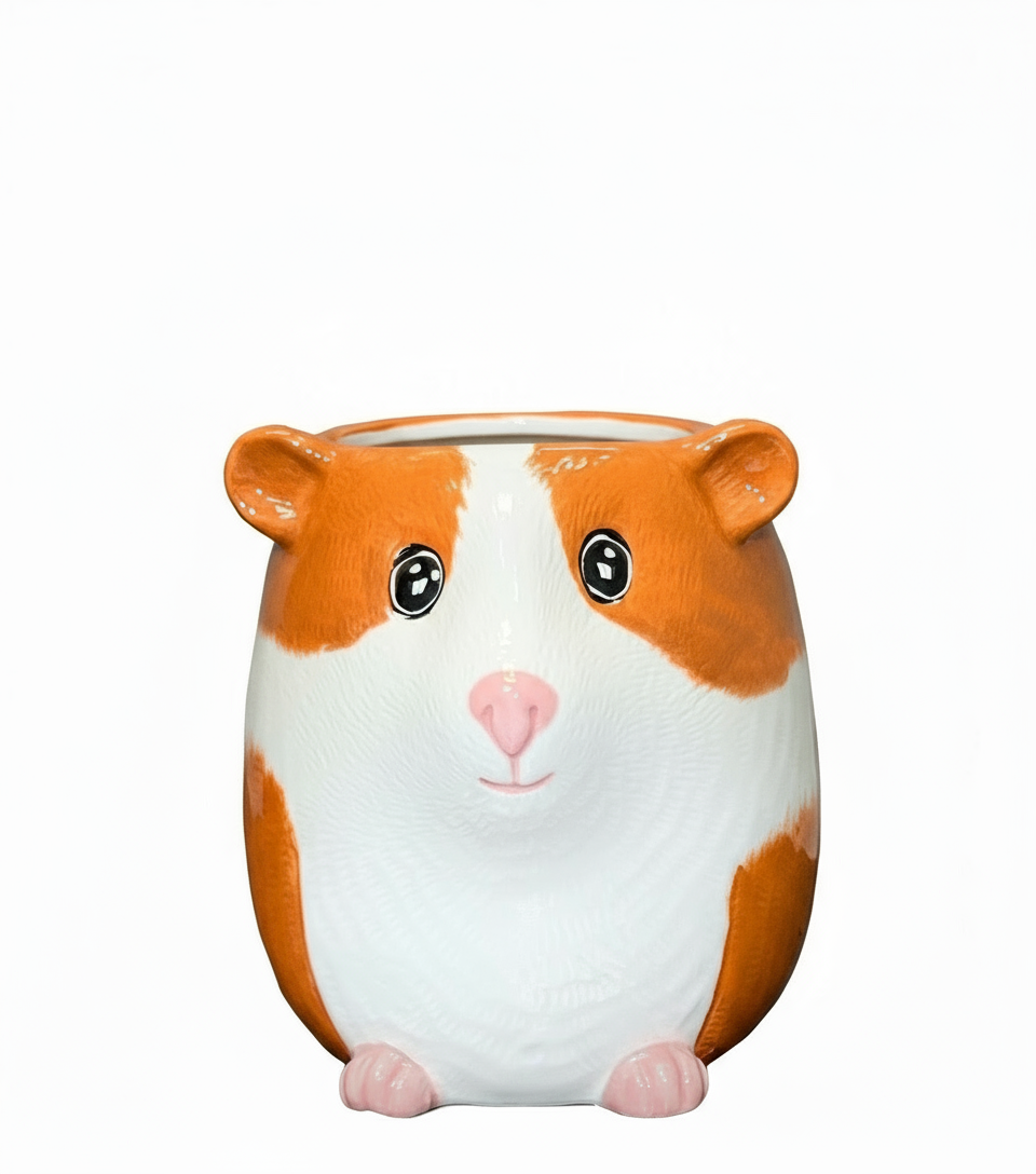 Guinea Pig Hold All/Planter