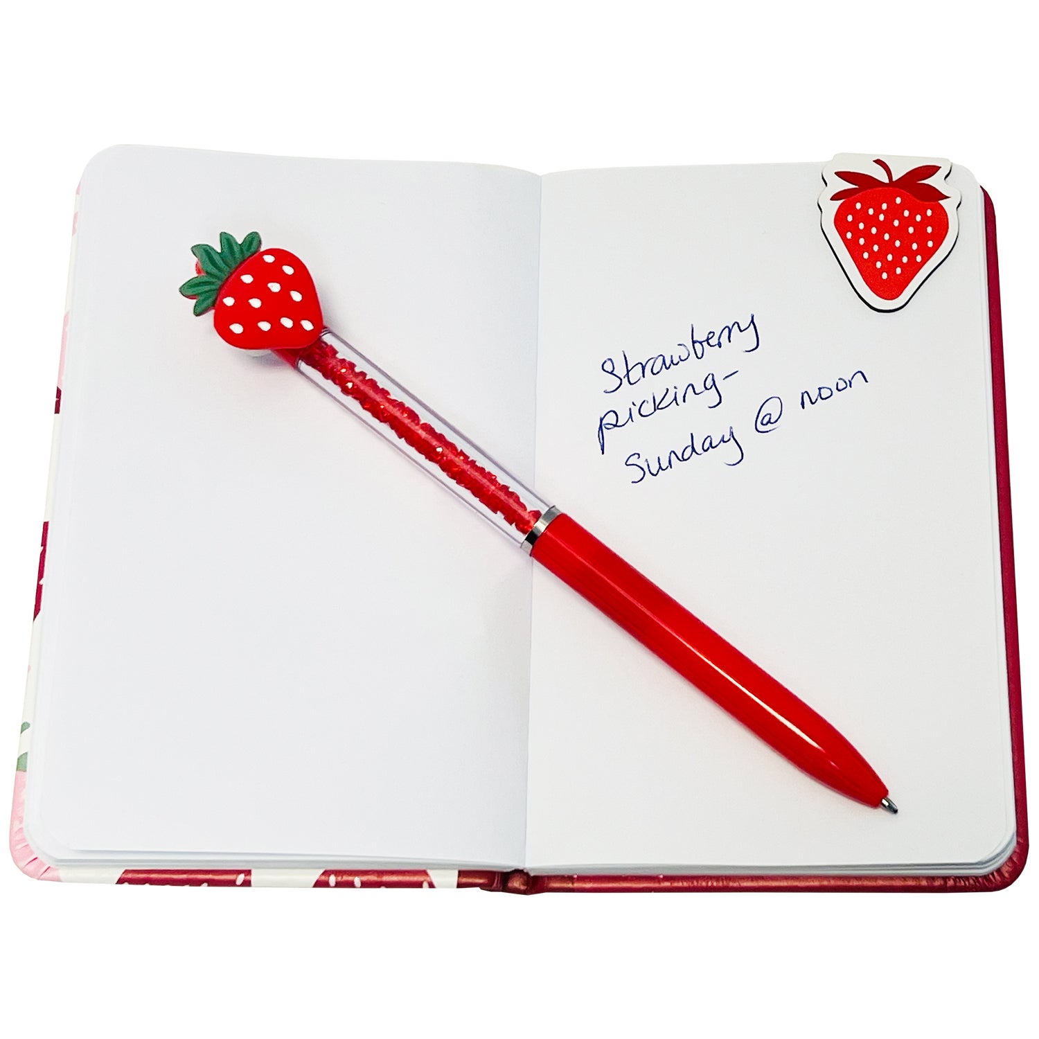 Strawberry Mini Boxed Journal Set