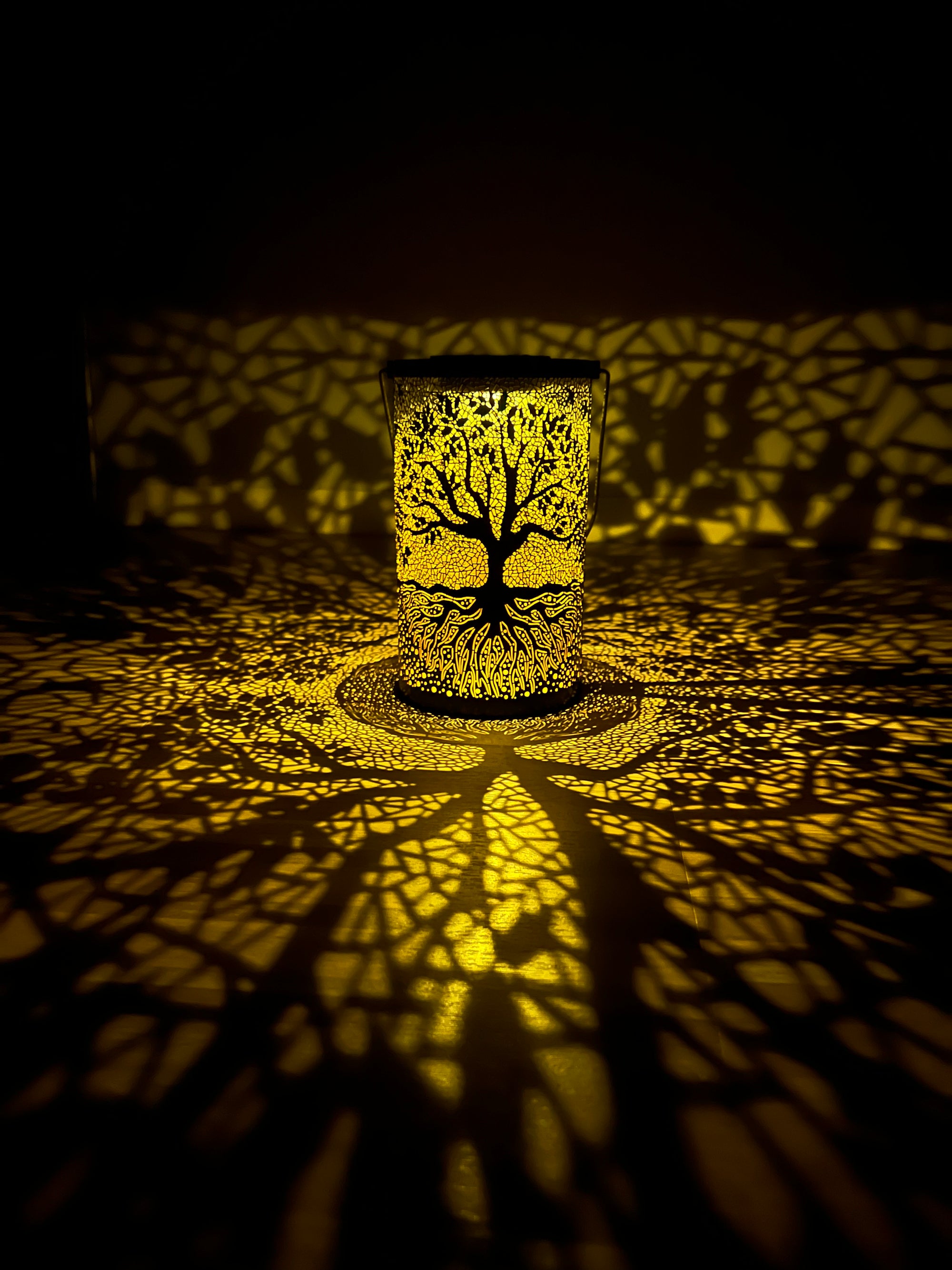 Solar Outdoor Garden Lights