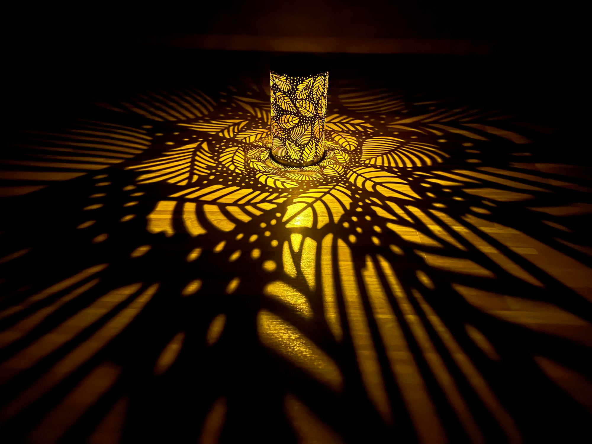 Solar Outdoor Garden Lights