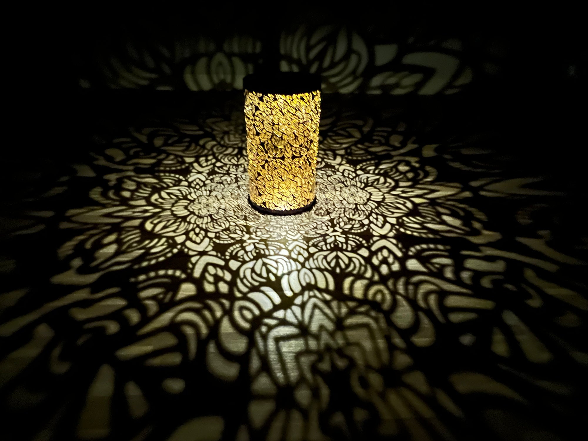 Solar Outdoor Garden Lights