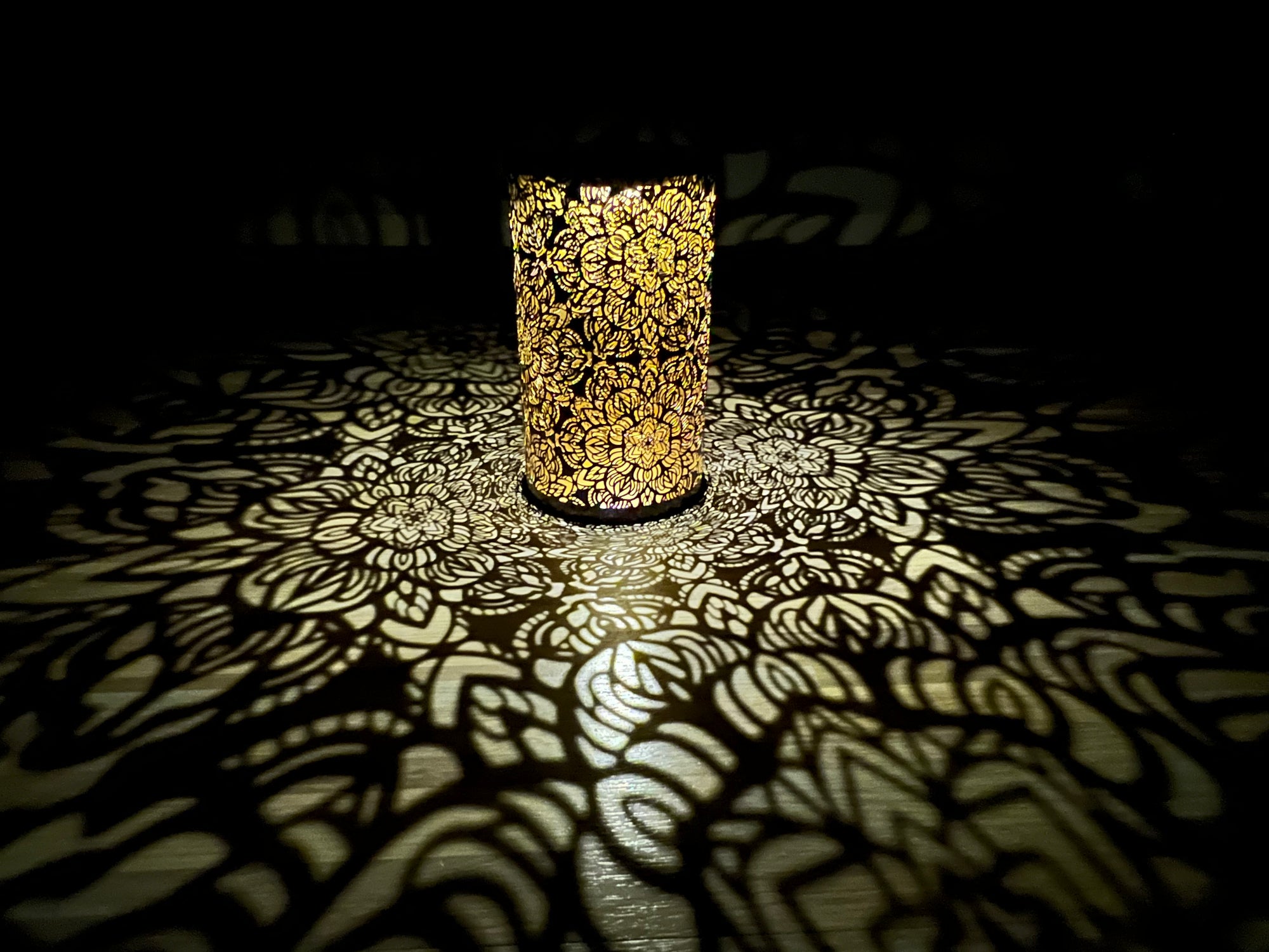 Solar Outdoor Garden Lights