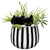 Streamline Imagined Peek-A-Boo Kitty Planter, Ceramic, Black, White