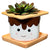 Streamline Imagined S'mores Planter, Ceramic