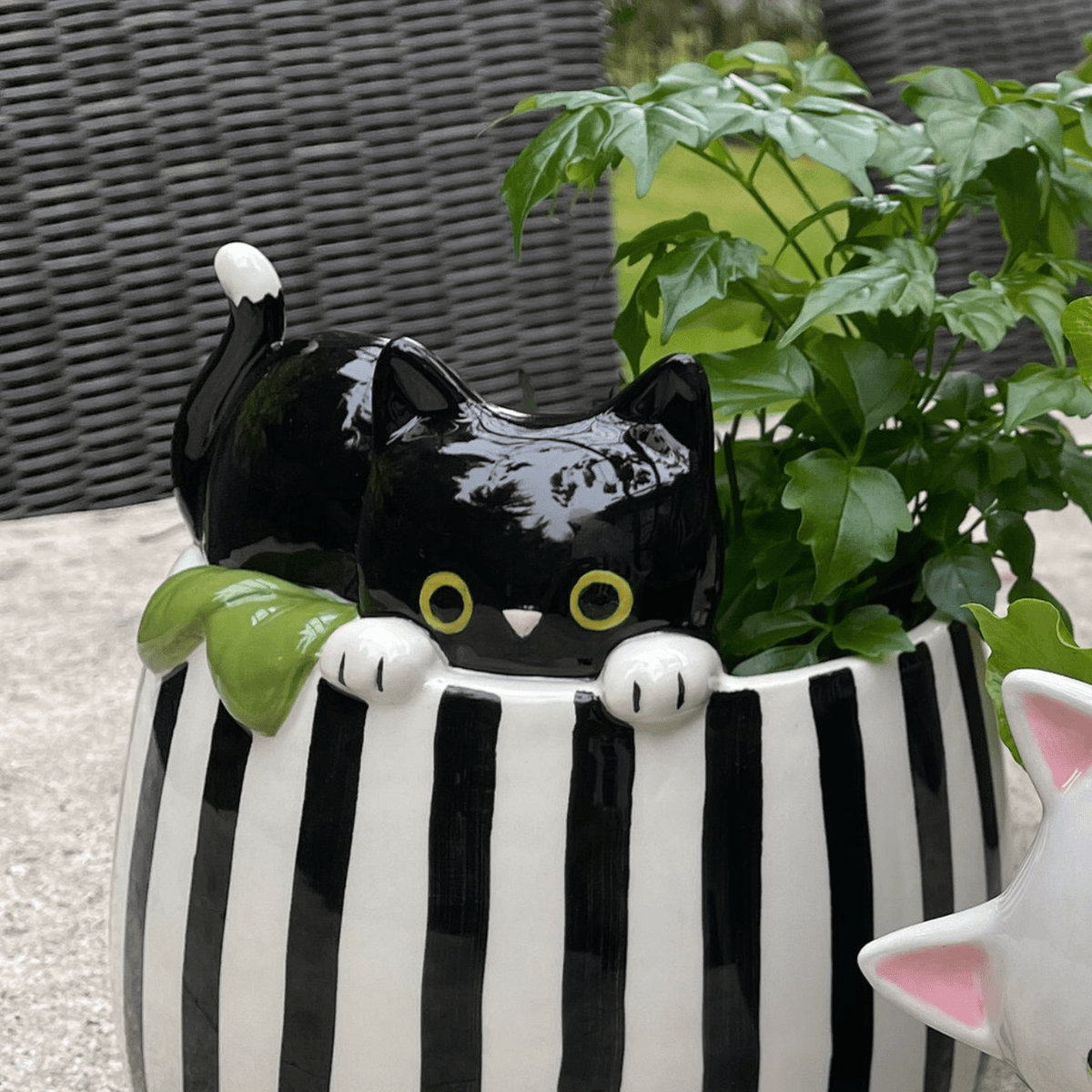 Peek-A-Boo Kitty Planter, Ceramic, Black, White, Drainage Holes