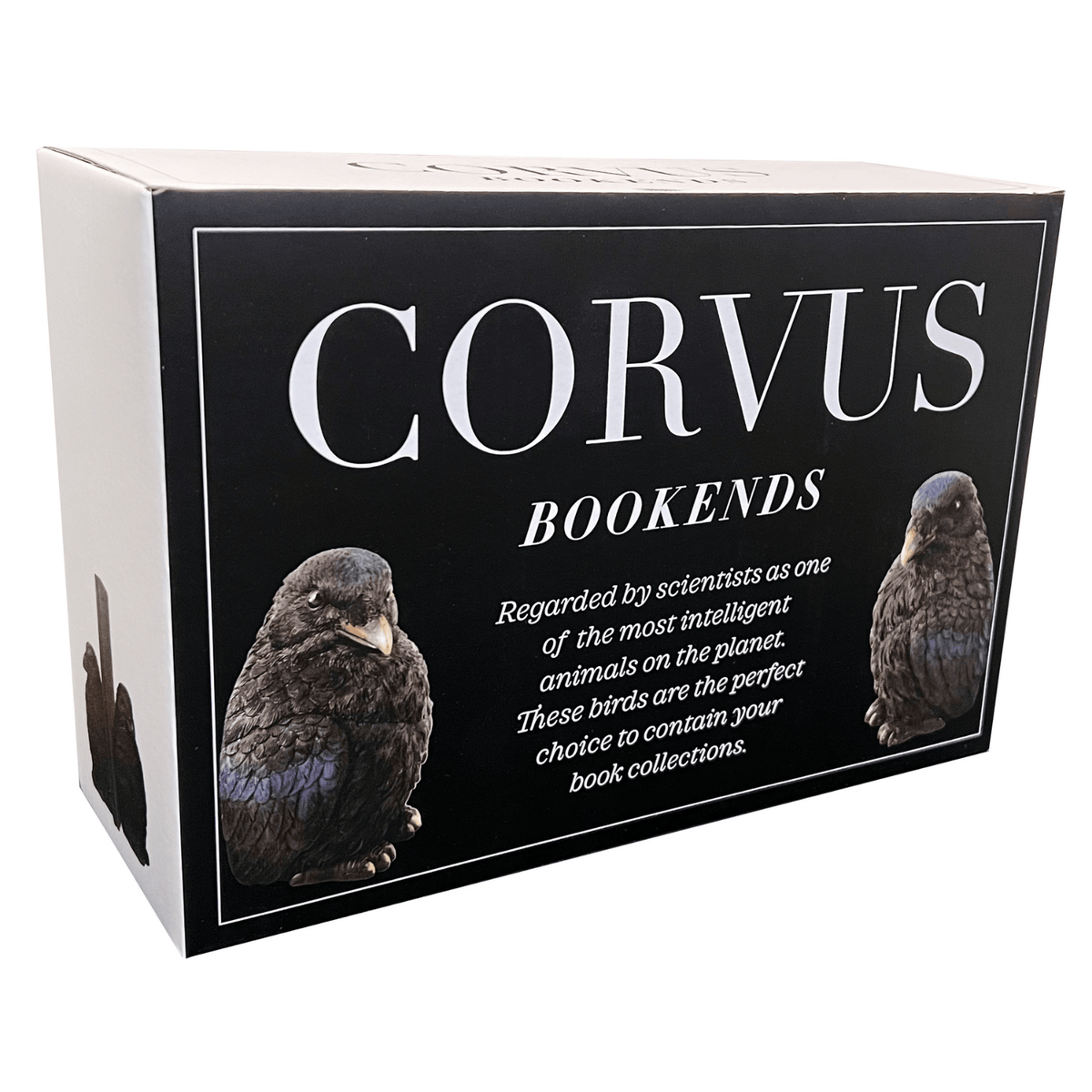 Raven Corvus Bookend Set, Resin, Black, 2 Pieces