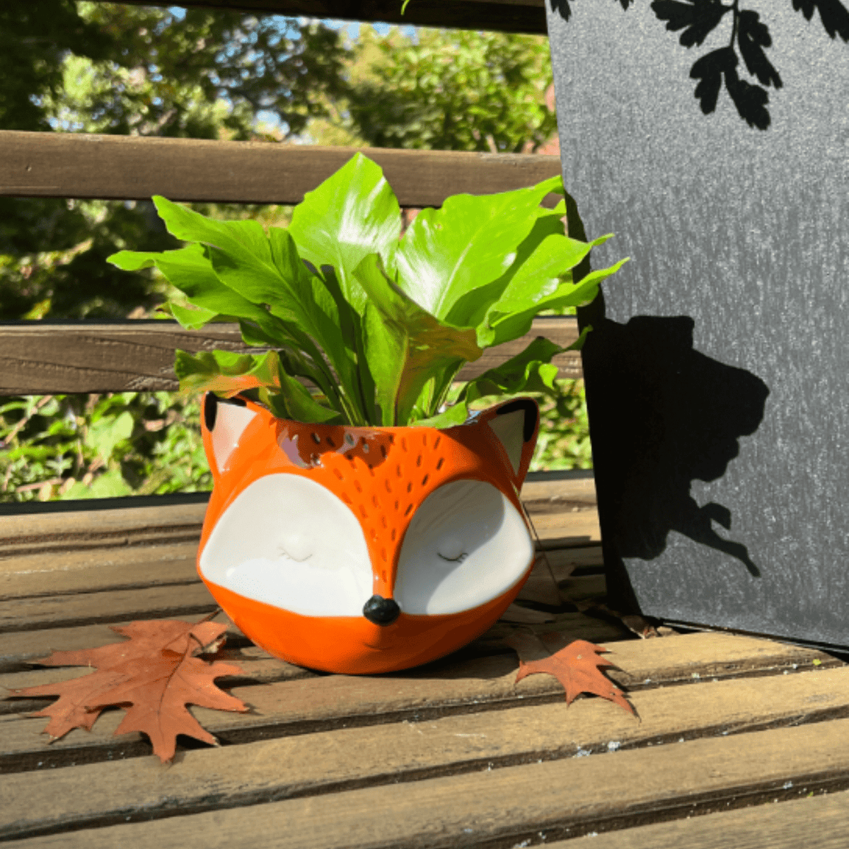 fox succulent planter Fox Planter Pot
