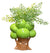 Grove Tree Planter - Tall