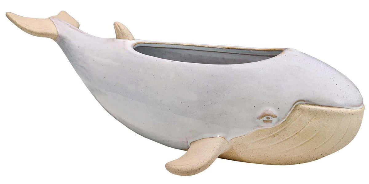 Sprouter Whale Planter