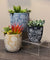 Floral Engraved Planter - Black (Small)