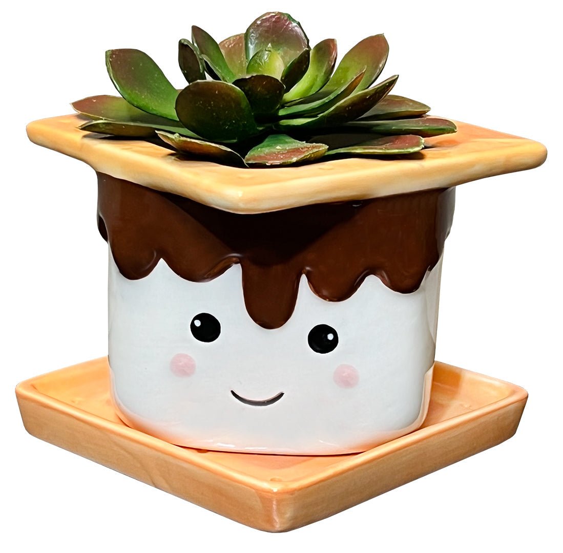 Tall S&#39;mores Planter