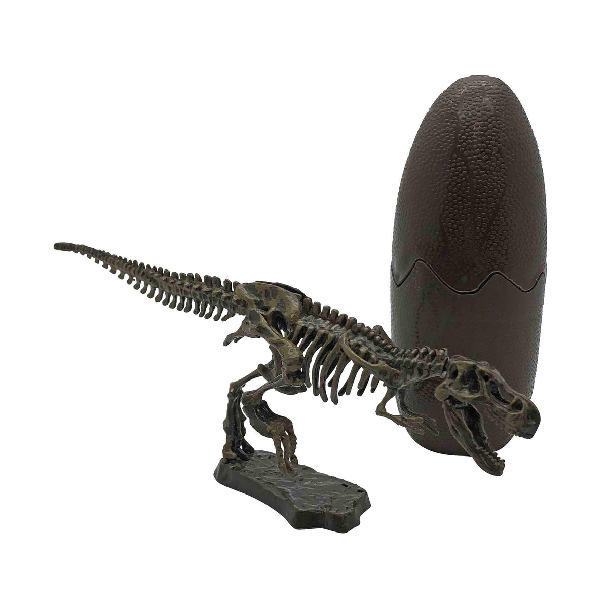 Dinosaur Fossil Egg